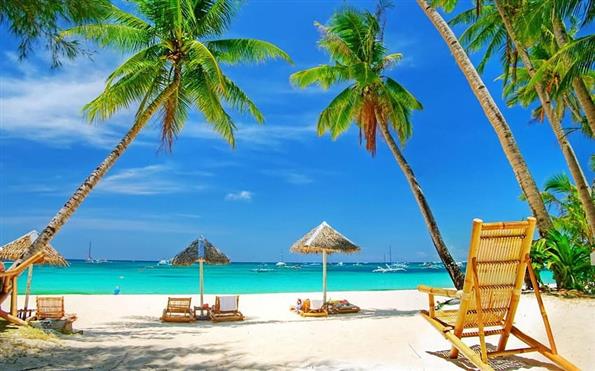 A Taste of Goa Exploring the Culinary Delights of Indias Party Capital