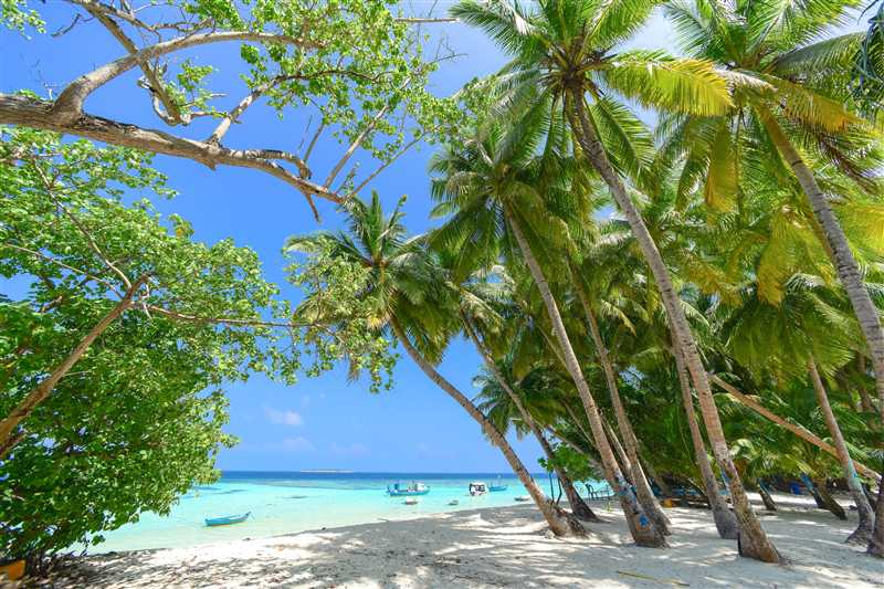 Unveil the Top 5 Island Gems of Lakshadweep