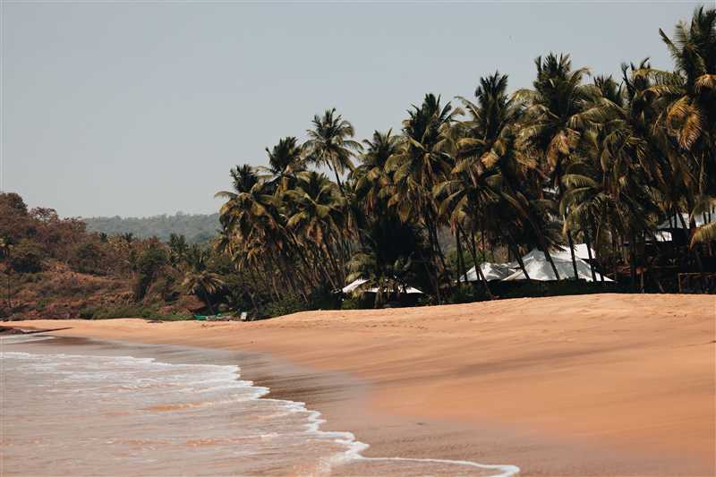 Sun Sand and Serenity Exploring the Best of Goa
